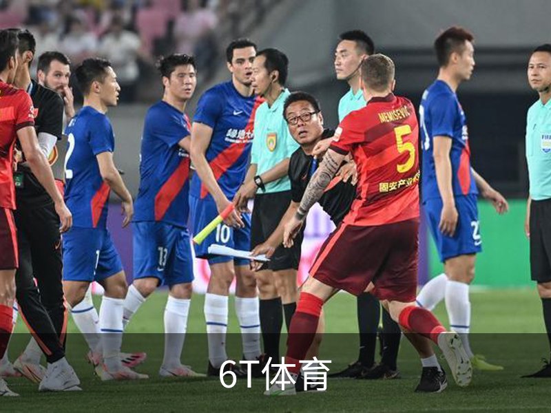 6T体育介绍